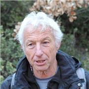 cours de soutien d'italien. Langue maternelle